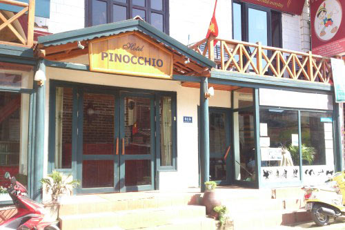 Pinocchio Sapa