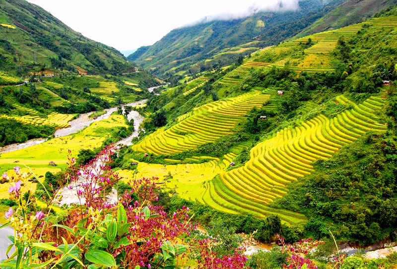 Cẩm nang ăn chơi ở Sa Pa từ A đến Z 1