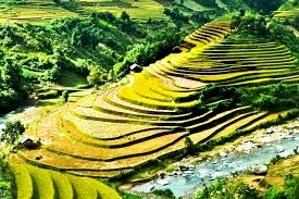 Tour SaPa 3 Ngày 4 Đêm Tàu Hỏa.