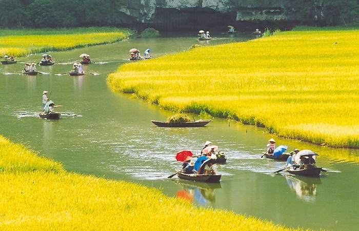 Hoa Lư - Tam Cốc 1 Ngày