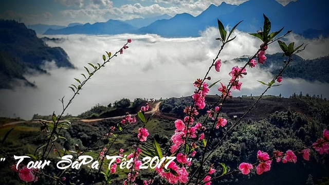 Tour SaPa Tết 3 Ngày 2 Đêm